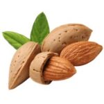 Almond