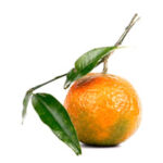 Green mandarin