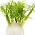 fennel