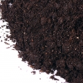 Soil Tincture