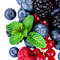 Wild Berries